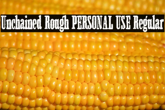 Unchained Rough PERSONAL USE Regular Example 1