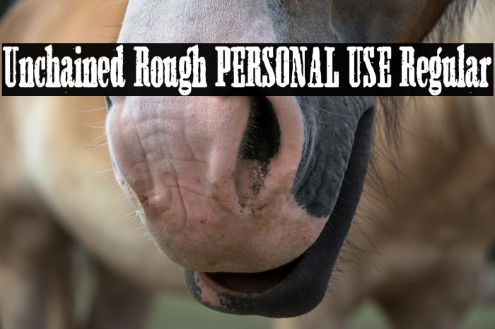 Unchained Rough PERSONAL USE Regular Example 3