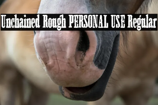 Unchained Rough PERSONAL USE Regular Example 3