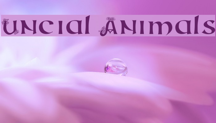 Uncial Animals Example 2