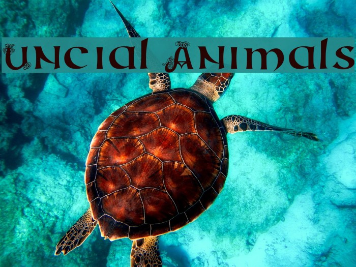 Uncial Animals Example 3