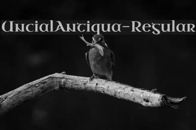 UncialAntiqua-Regular Font examples