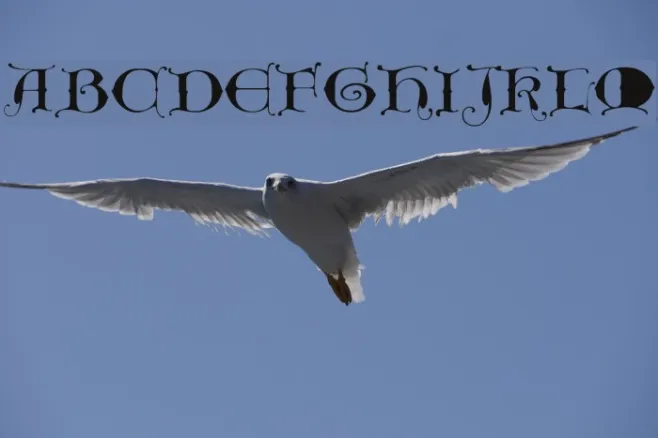 UncioGothic Example 1