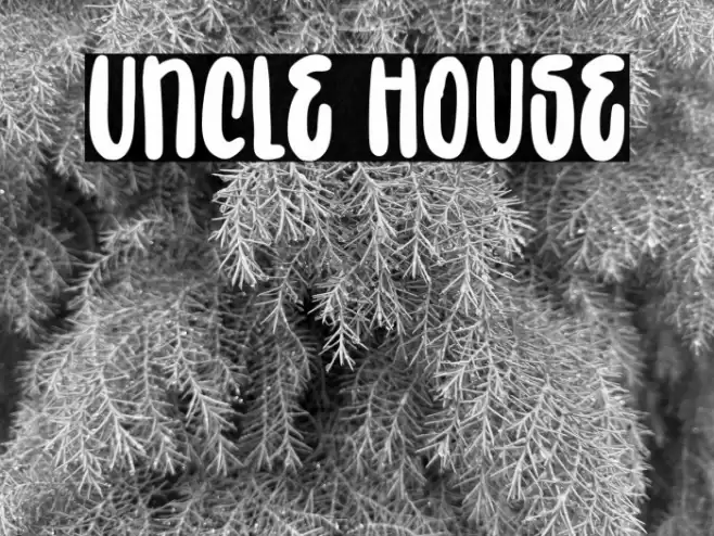 Uncle House Font examples