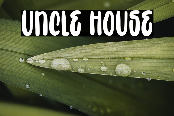 Uncle House Example 2