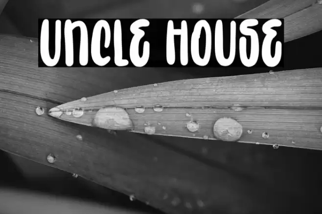 Uncle House Font examples