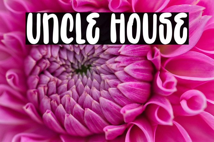 Uncle House Example 3