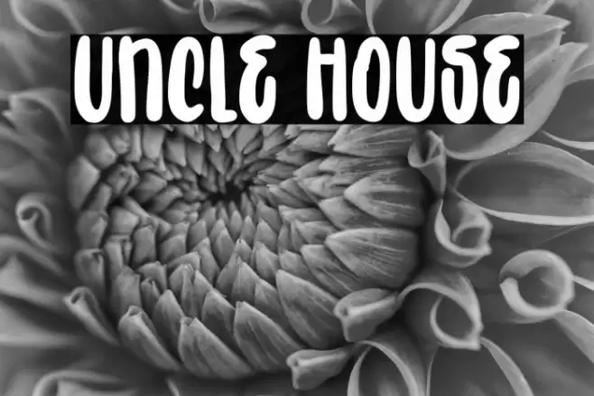 Uncle House Font examples