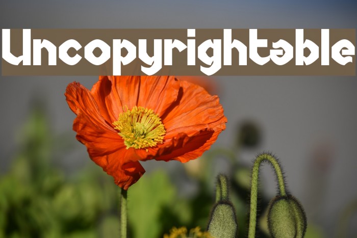 Uncopyrightable Font examples