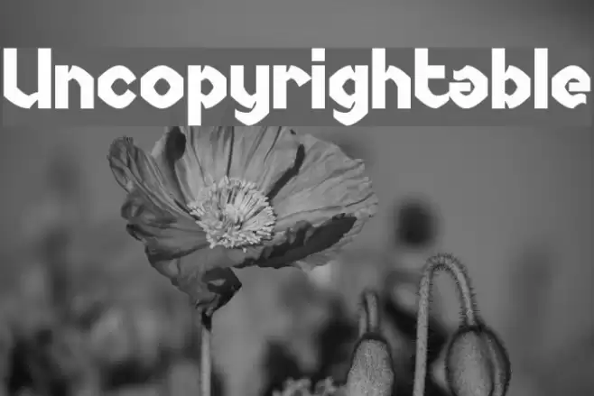 Uncopyrightable Schriftart examples