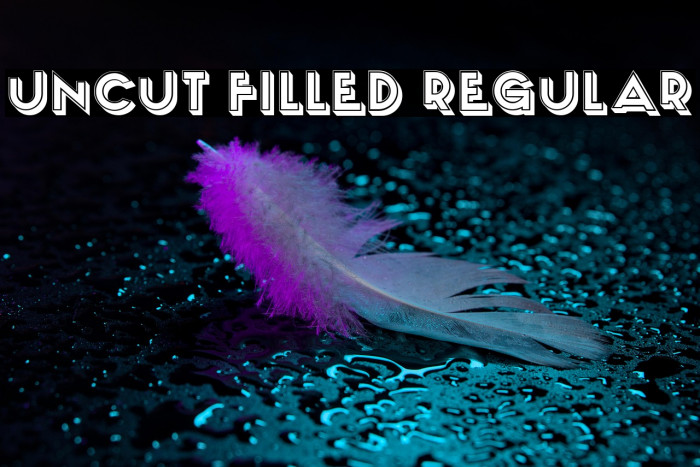 Uncut Filled Regular Example 3