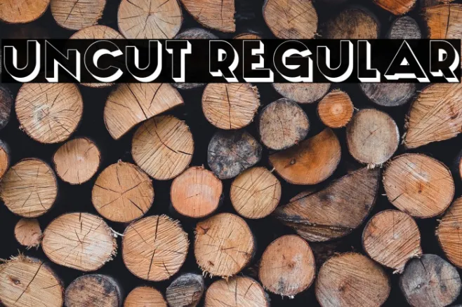 Uncut Regular Example 2