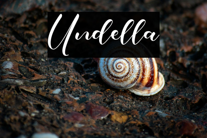 Undella Example 1
