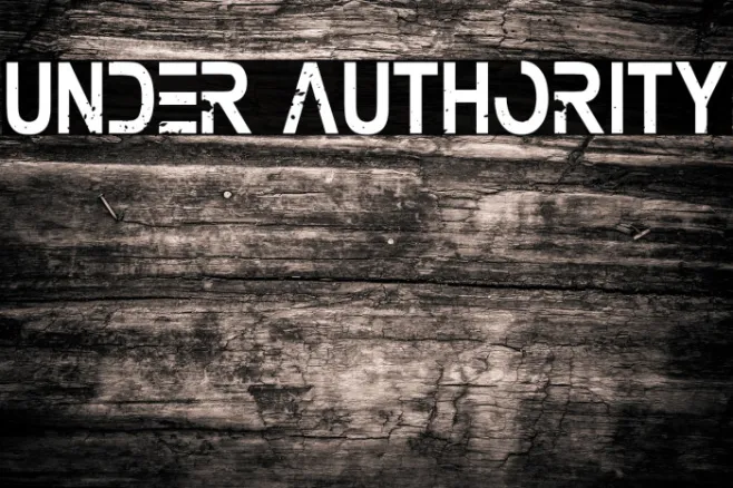 Under Authority Example 2