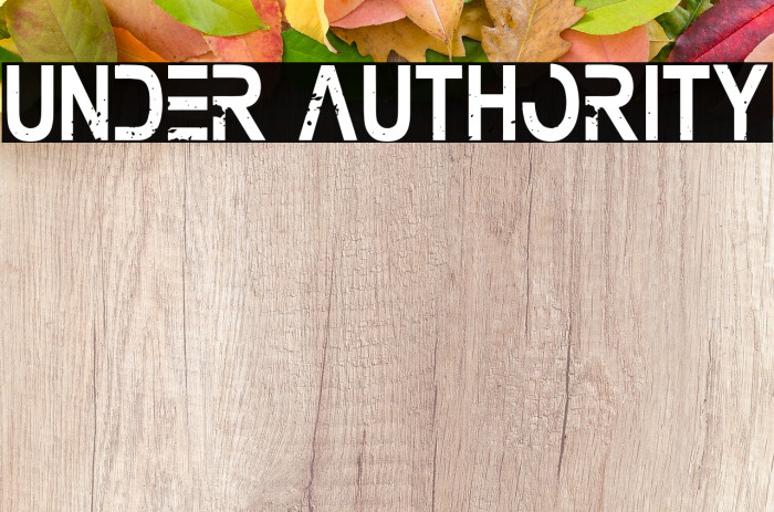Under Authority Font examples