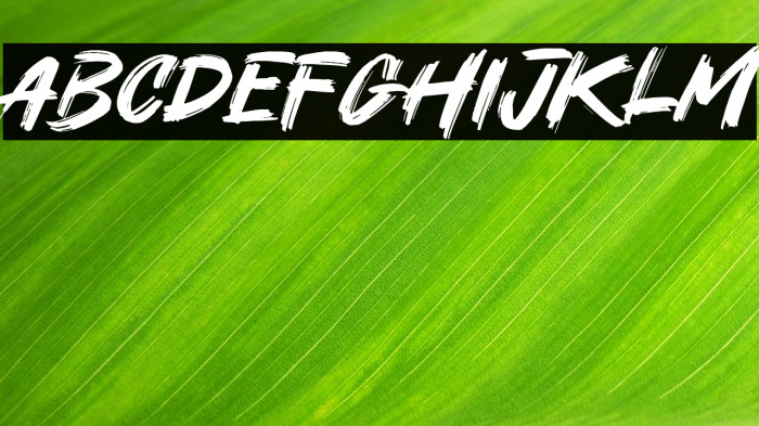 Under Hiport Example 2