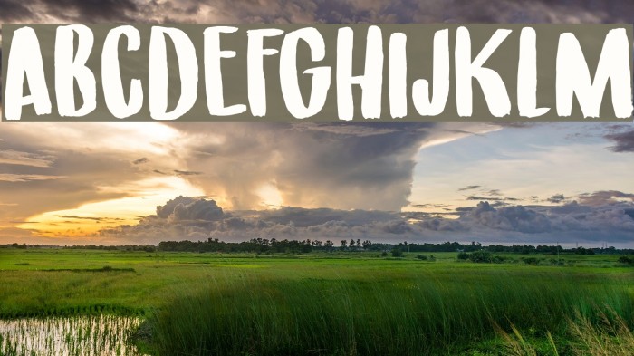 Under My Umbrella DEMO Regular Example 1