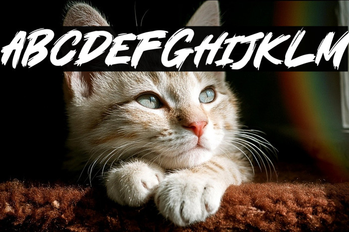 Under Station Example 2