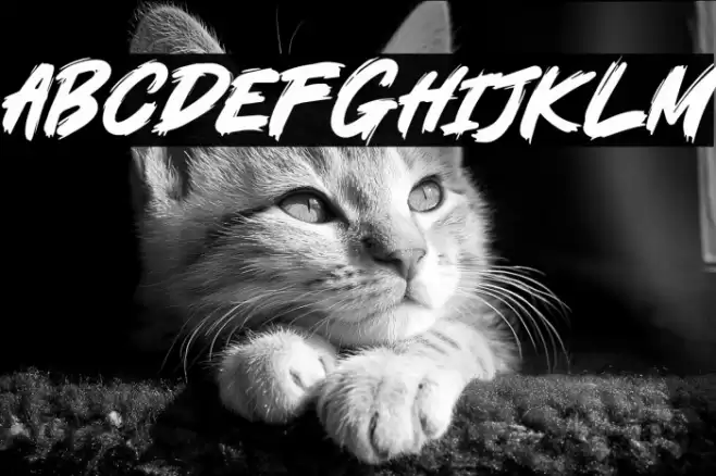 Under Station Caratteri examples