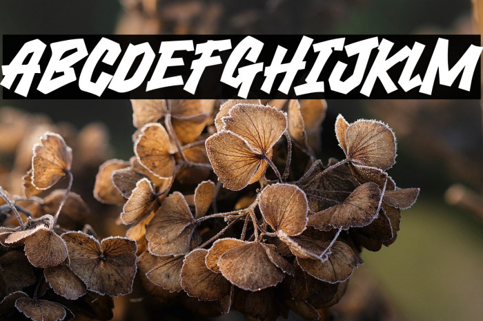 Under Subway Example 3