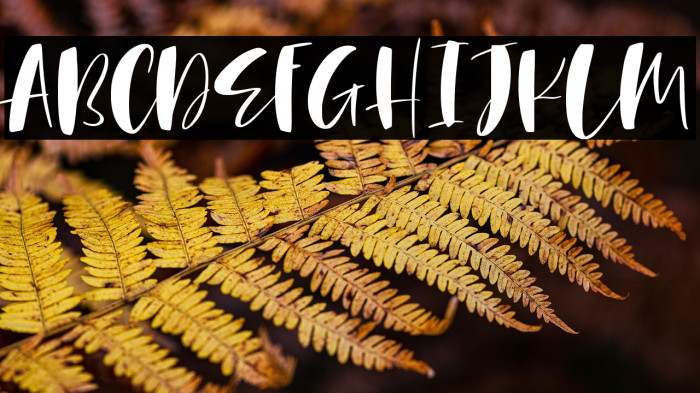 Under Summer Example 2