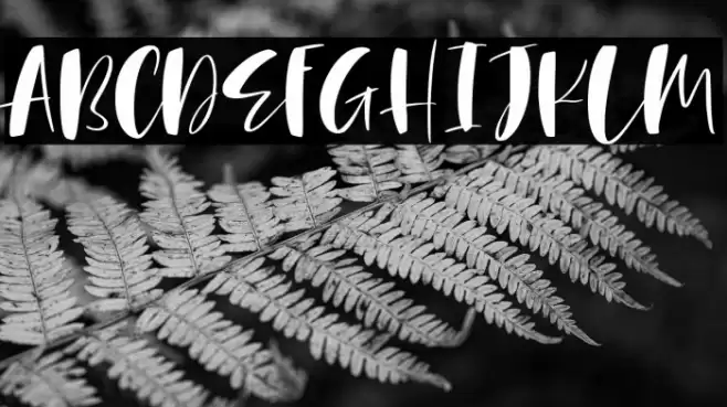 Under Summer Font examples