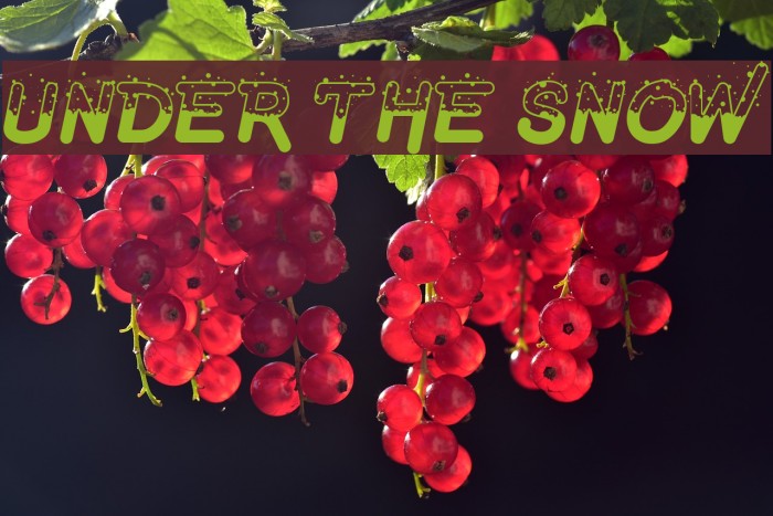 Under The Snow Fonte examples