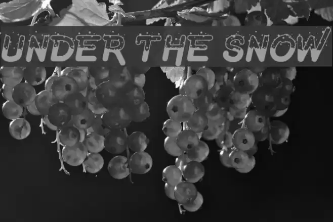 Under The Snow Font examples