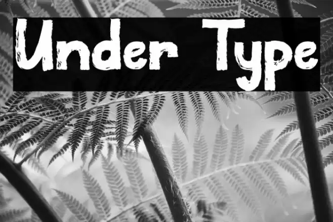 Under Type Fuentes examples