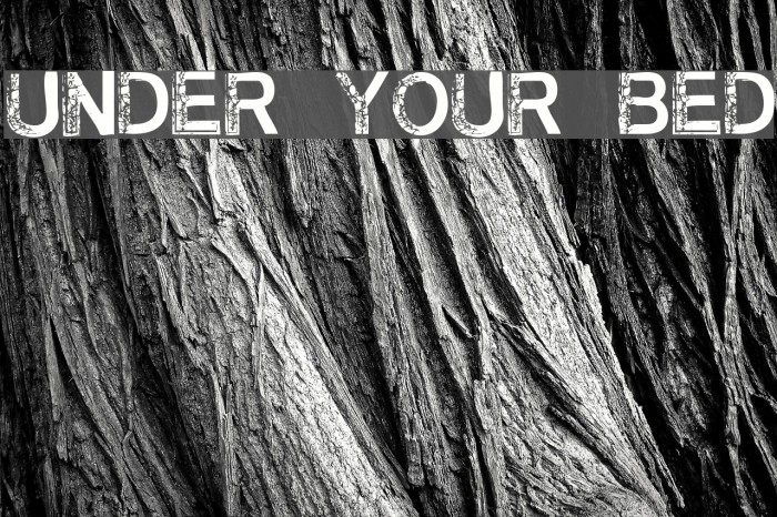 Under Your Bed Example 2