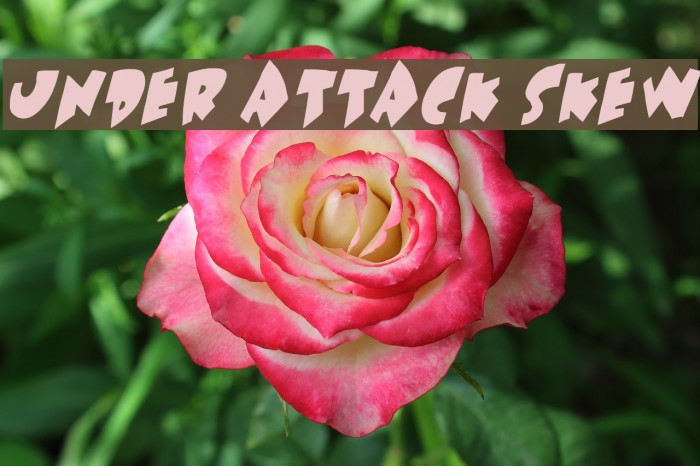 Under attack skew Fuentes examples