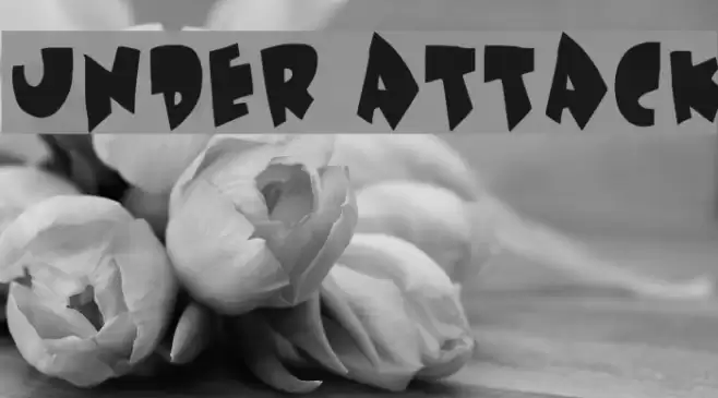 Under attack Polices examples