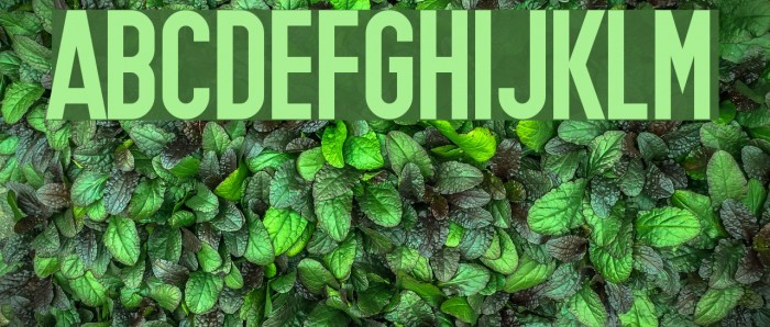 Under the Weather Font examples