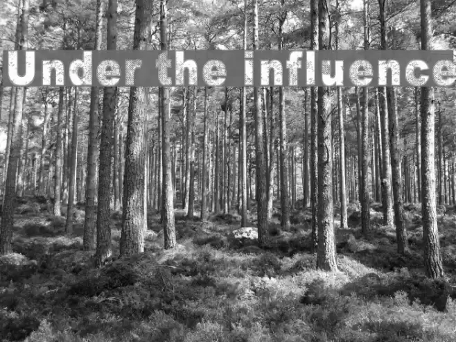 Under the influence Font examples