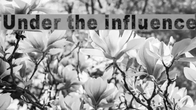 Under the influence Font examples