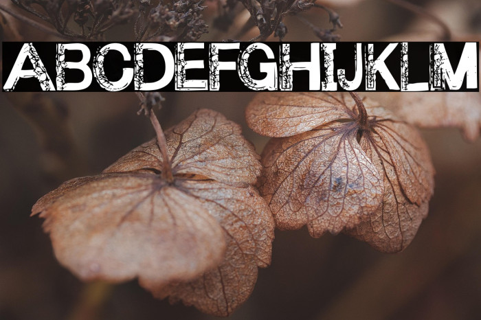 Under your bed Example 1