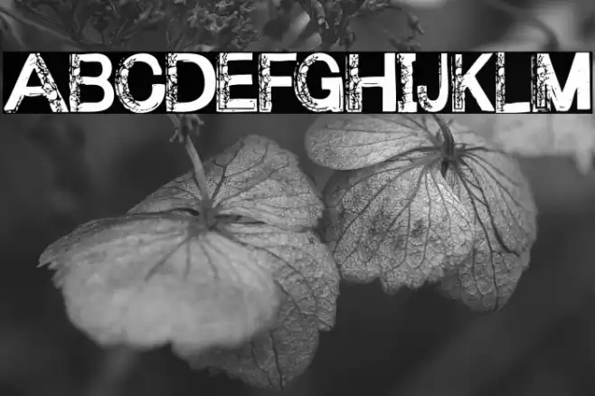 Under your bed Font examples