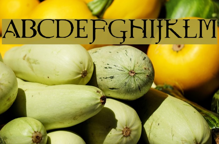 UnderWorld Font examples