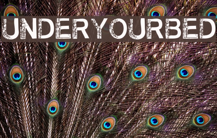 UnderYourBed Font examples