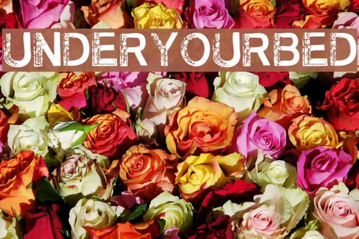 UnderYourBed Font examples