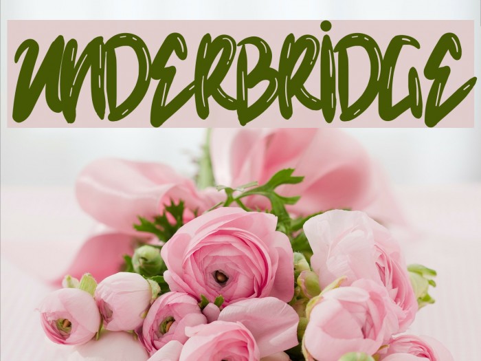 Underbridge Example 2