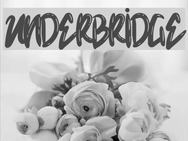 Underbridge Font examples