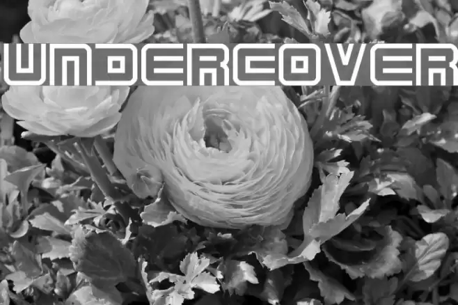 Undercover Font examples