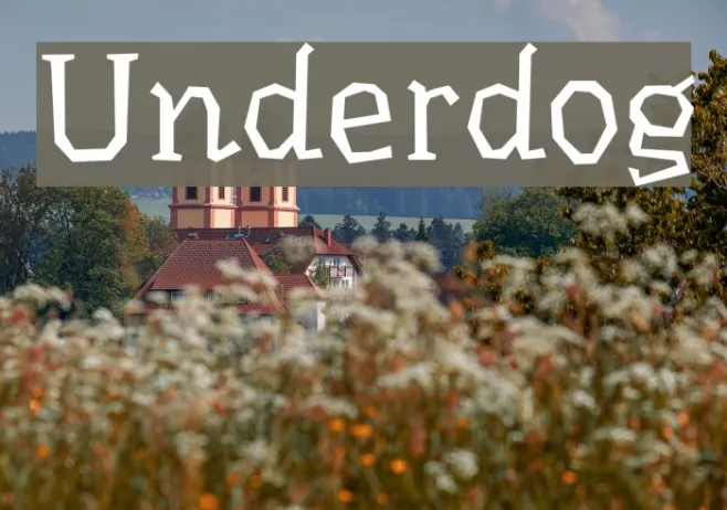 Underdog Example 2