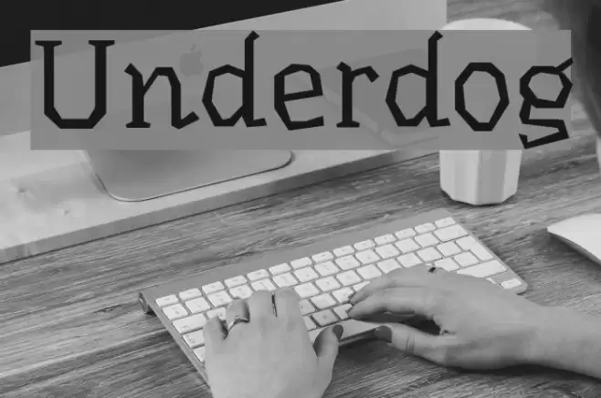 Underdog Polices examples
