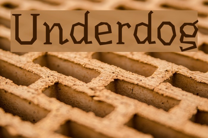 Underdog Font examples