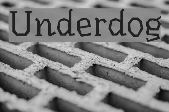 Underdog Polices examples