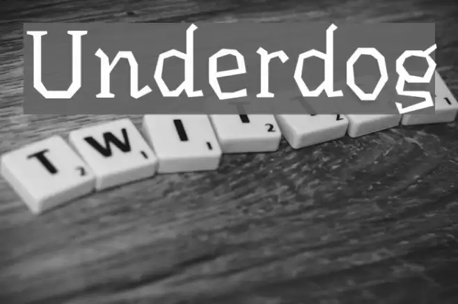 Underdog Polices examples