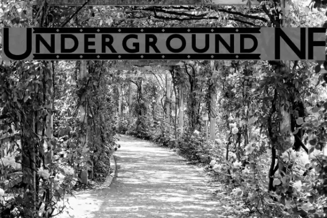 Underground NF Fonte examples