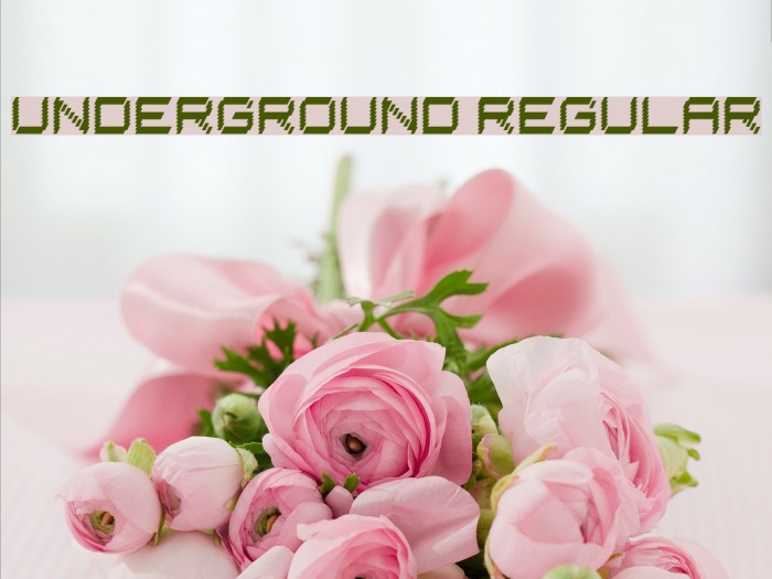 Underground Regular Font examples